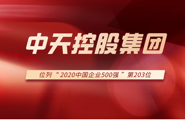 d88尊龙z6集团列2020中国企业500强第203位！